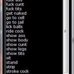 The VirtualFem Hints window